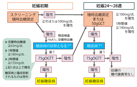 食事、運動、体重の影響