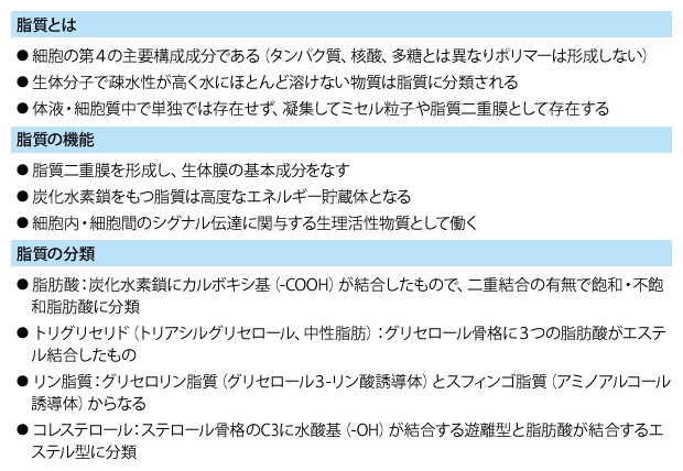 表1 脂質の機能と分類