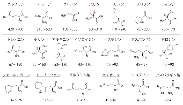 図1 アミノ酸の構造とヒトにおける血漿中濃度(µM)