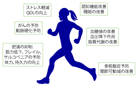 図1 運動のさまざまな効果