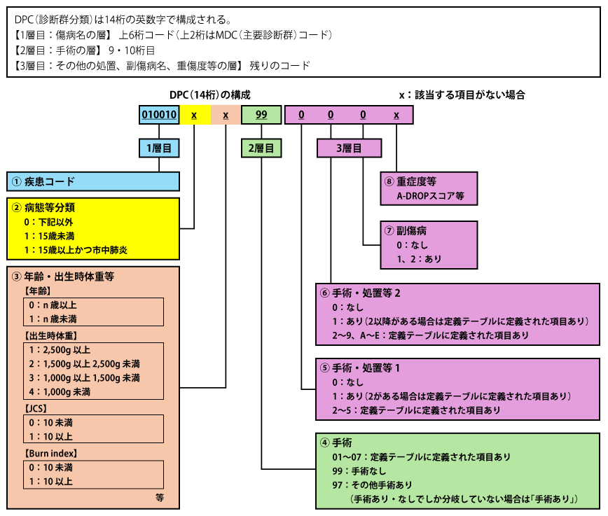 図1　DPCの構成（項目の詳細）（文献2より）