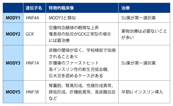 表2 MODYの臨床像の特徴