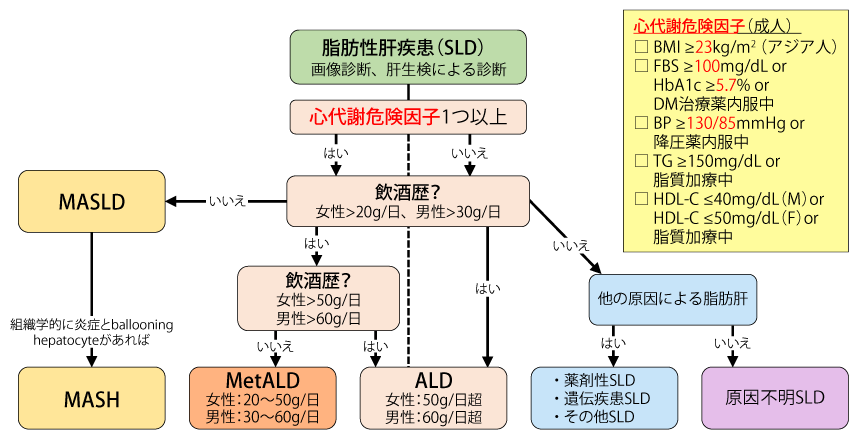 図1　新しい脂肪性肝疾患の診断フローチャート（文献2より改変）