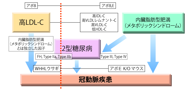図1　LDL・酸化LDL仮説