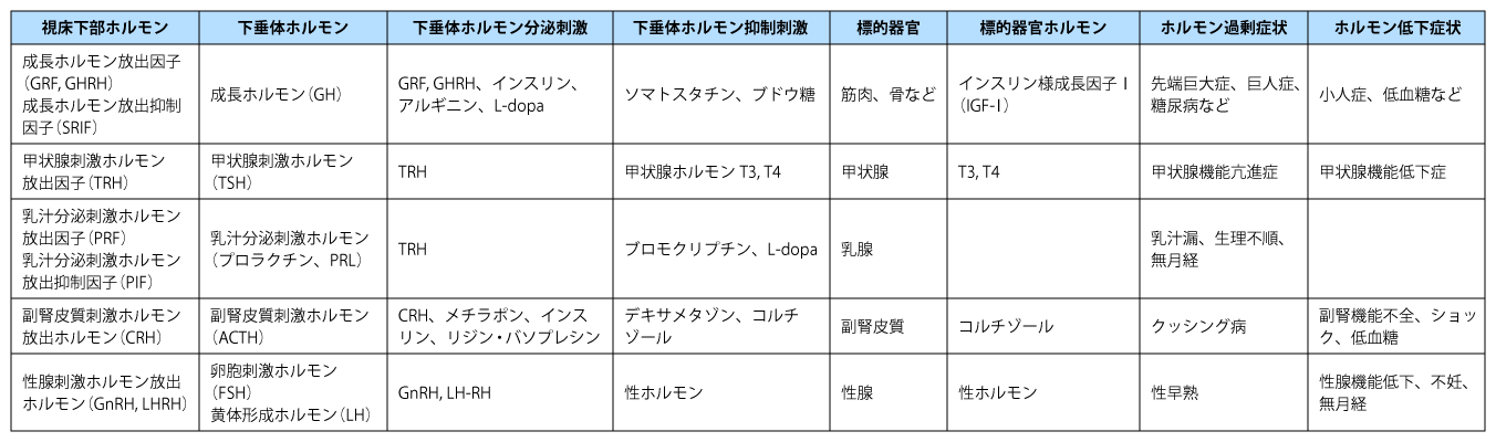 表1　視床下部・下垂体・標的器官の概要