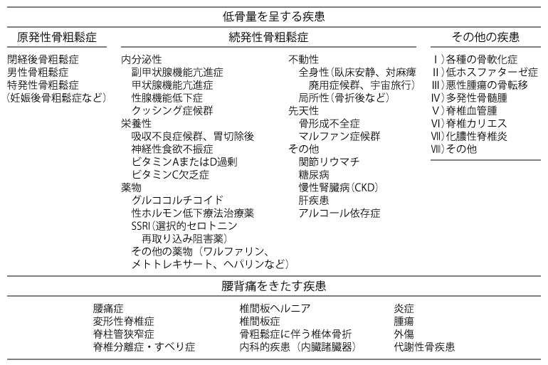 表2　骨粗鬆症と鑑別が必要な疾患（骨粗鬆症の予防と治療ガイドライン作成委員会（日本骨粗鬆症学会, 日本骨代謝学会, 骨粗鬆症財団）編: 骨粗鬆症の予防と治療ガイドライン2025年版.ライフサイエンス出版, 東京, p.33より）