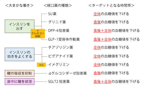 図2 経口糖尿病薬の種類と特徴