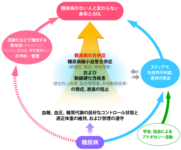 1．2型糖尿病における第一選択薬は何か | 糖尿病・内分泌プラクティスWeb