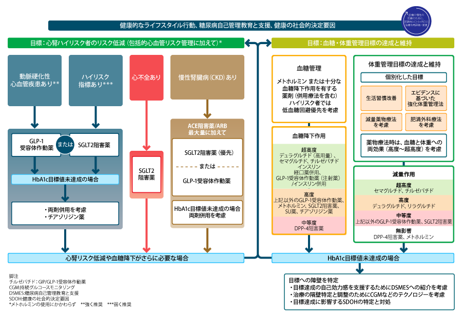 1．2型糖尿病における第一選択薬は何か | 糖尿病・内分泌プラクティスWeb