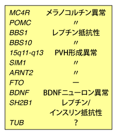 表1　肥満をもたらす脳内遺伝子