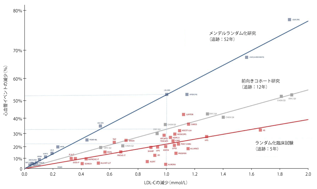 脂質異常症の治療 コレステロール低下薬の最新エビデンス | 糖尿病