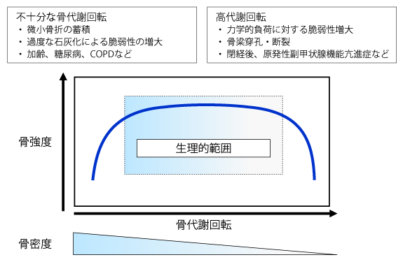 図1 骨代謝回転(リモデリング)と骨強度との関係(文献1より改変)