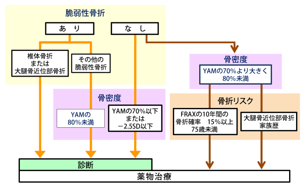 図1 原発性骨粗鬆症の診断基準と薬物治療開始基準(2015年版)(文献1より作図)