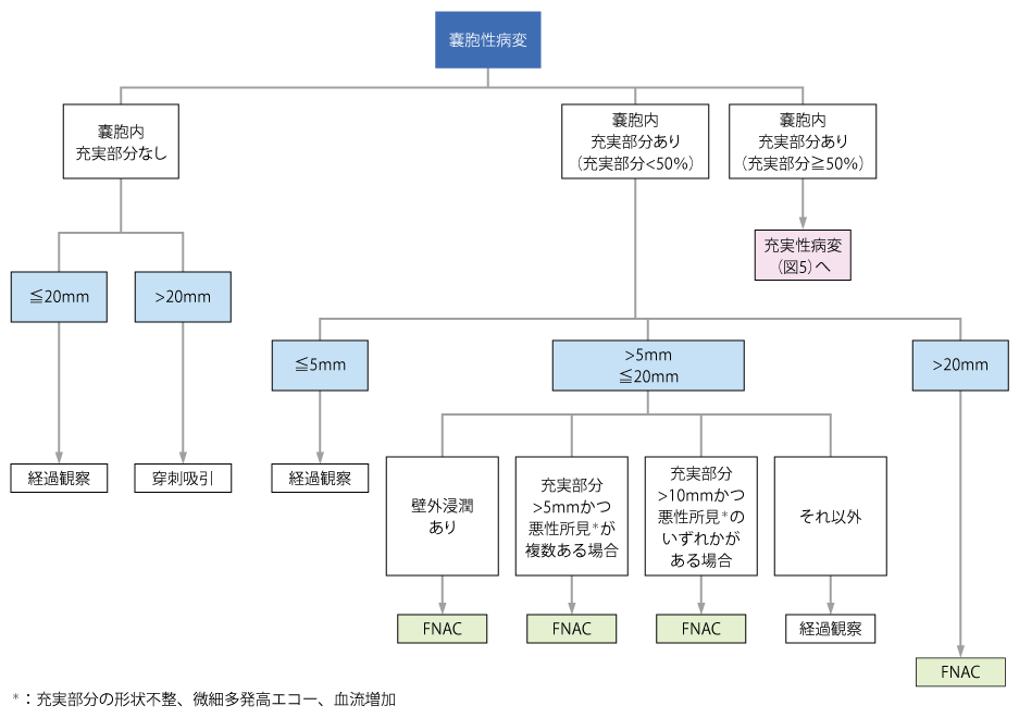 5．内科での甲状腺腫瘍の診かた | 糖尿病・内分泌プラクティスWeb