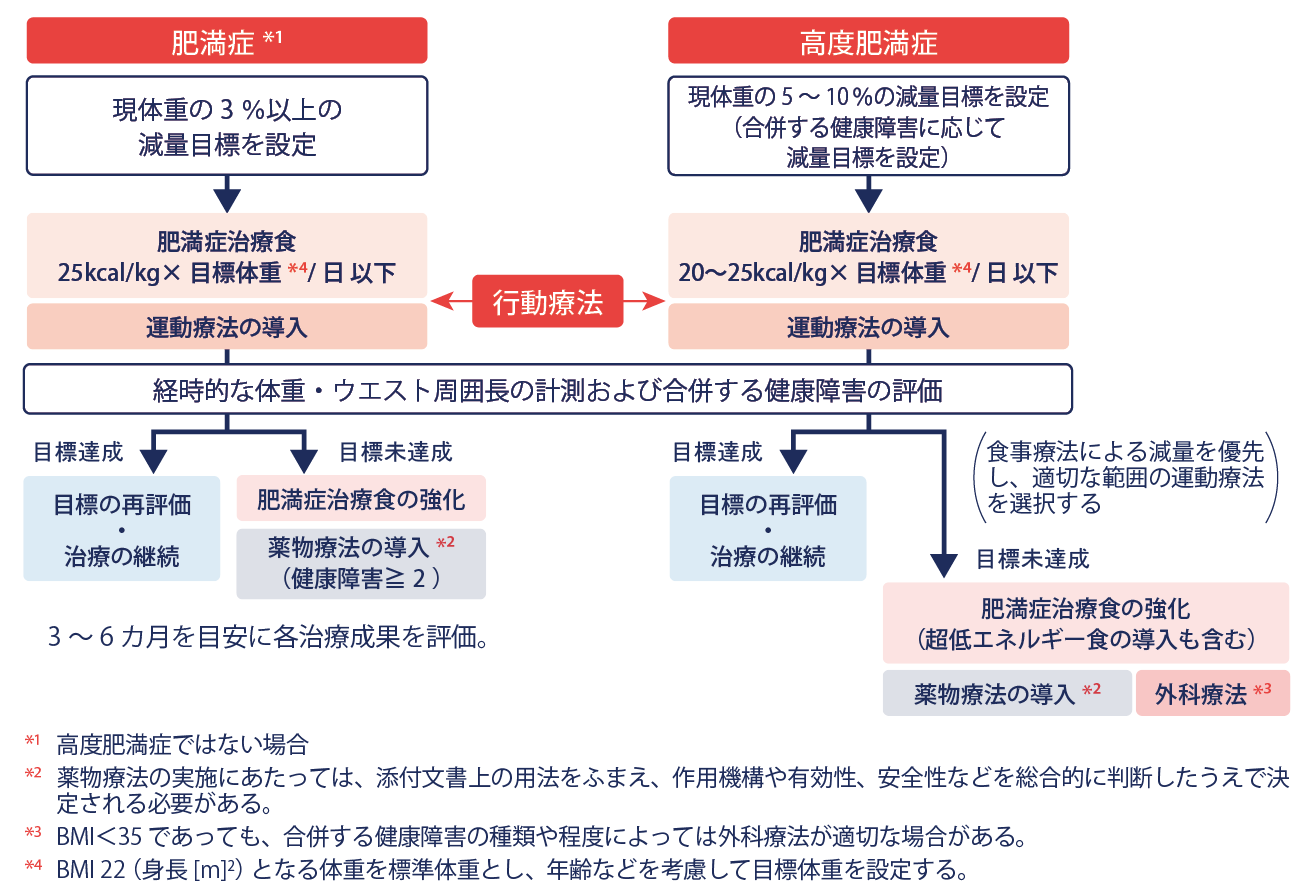 人気が高い 肥満症診療ガイドライン2022 navis.co.jp