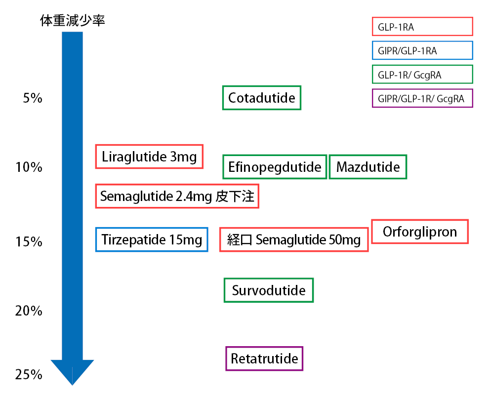 図1 肥満症治療薬の体重減少率