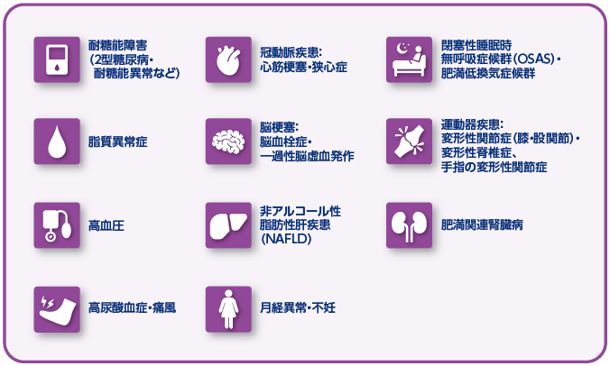 第4回 肥満症診療の現状とこれから —肥満症診療ガイドライン2022を踏まえて— | 糖尿病リソースガイド