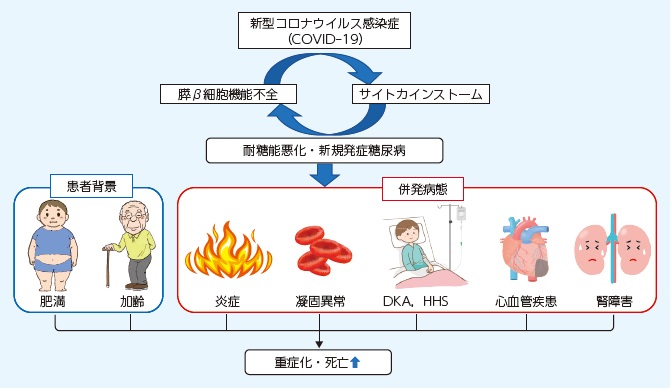 新型コロナウイルス感染症は糖尿病とともに生きる人々にどのような影響を及ぼしますか?