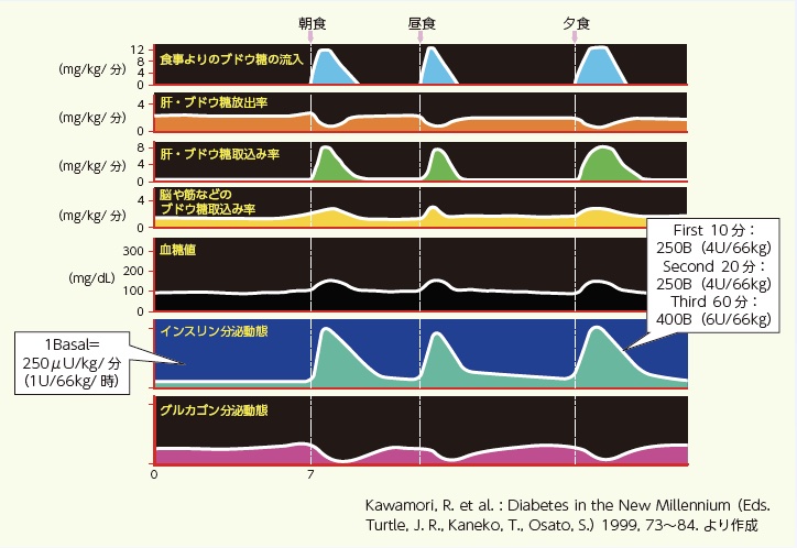 特別寄稿 わたしの「インスリン物語」～インスリンを最大限有効利用したい～ | 糖尿病リソースガイド
