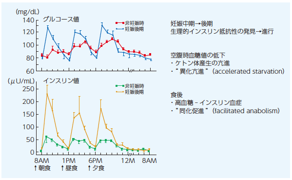 3．妊娠と糖尿病：糖尿病合併妊娠のリスクと治療の留意点