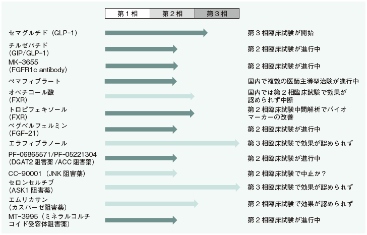 NAFLD/NASHの治療 | 糖尿病リソースガイド