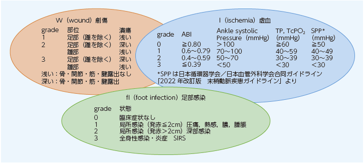 2．足の創傷をいかに治療するか ─糖尿病性足病変への形成外科的 