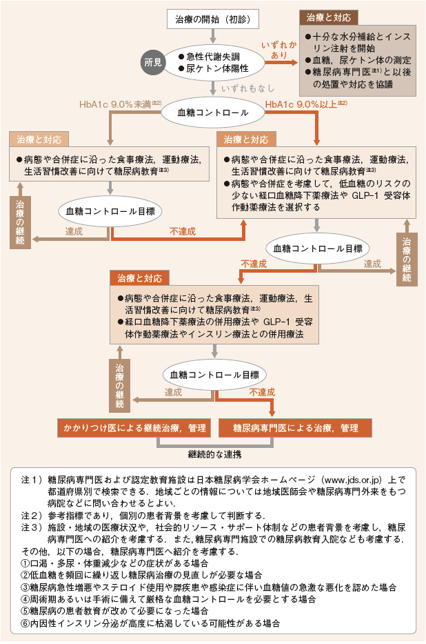 売れ筋ランキングも 糖尿病治療ガイド 2020-2021 ecousarecycling.com