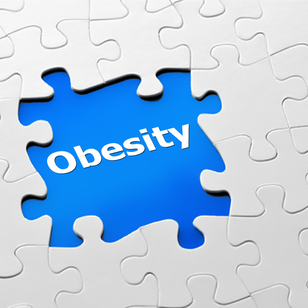 obesity_seminar
